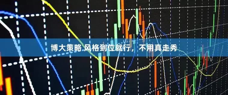博大策略 风格到位就行，不用真走秀
