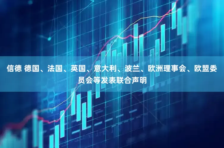 信德 德国、法国、英国、意大利、波兰、欧洲理事会、欧盟委员会等发表联合声明