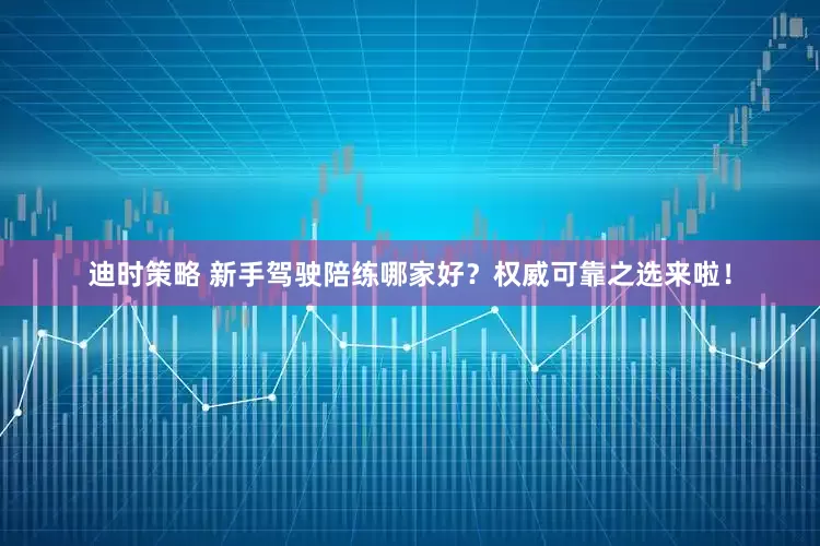 迪时策略 新手驾驶陪练哪家好？权威可靠之选来啦！