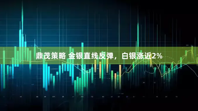 鼎茂策略 金银直线反弹，白银涨近2%